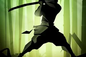 Shadow Fight 2